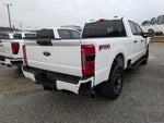 2023 Ford Super Duty F-250 SRW XL
