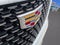2023 Cadillac Escalade Luxury